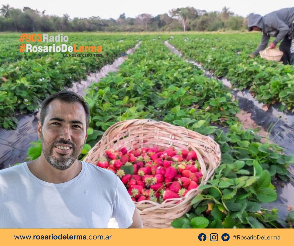 chino rodriguez frutillas