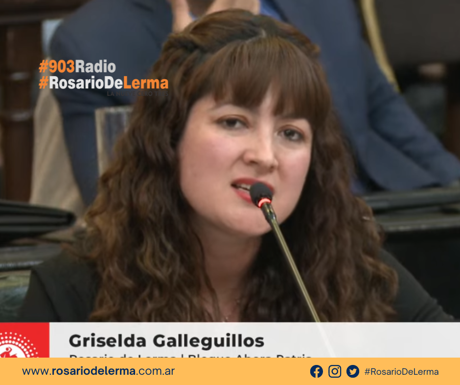 diputada griselda galleguillos