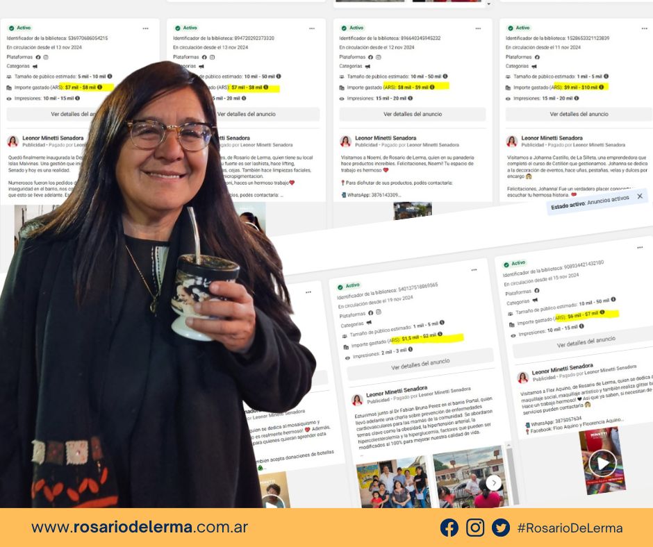 La Senadora Minetti y el millonario gasto en publicidad de Redes Sociales ... Millones Posta.!